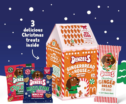 Denzel’S Christmas Dog Treats - Gingerbread House Gift Box for Dogs (140G)